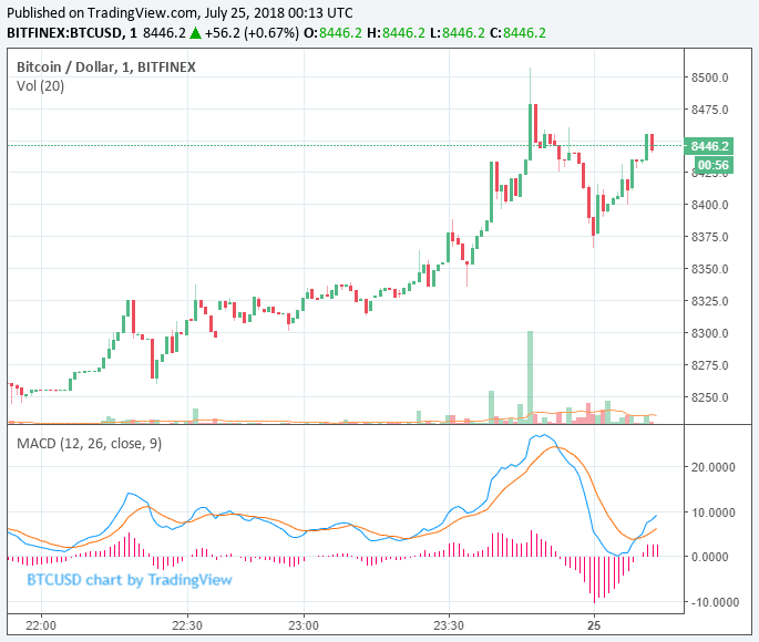 Newsflash: bitcoin price pierces $8,500, extending bull run further Bitcoin price chart