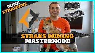 Straks lyra2rev2 mining - how to mine stak for a masternode + free straks?! Straks lyra2rev2 mining - how to mine stak for a masternode + free straks?!