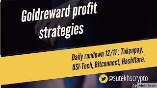 Gold reward profit strategies: daily rundown 12/11: token pay, usi-tech, bitconnect, hashflare. Gold reward profit strategies: daily rundown 12/11: token pay, usi-tech, bitconnect, hashflare.