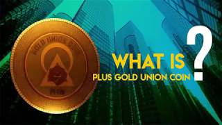 Plus gold union coin Plus gold union coin