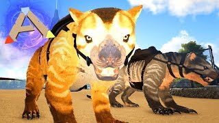 Ark gaia #70 - irmãos leões marsupiais! Ark gaia #70 - irmãos leões marsupiais!
