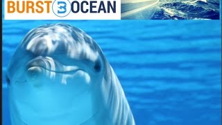 Burstocean(ocean):conheça um dos assets ligados à burst. Burstocean(ocean):conheça um dos assets ligados à burst.