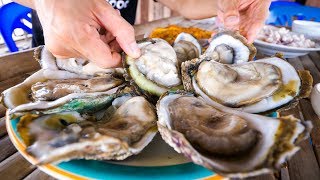The oyster king of thailand - uncle tom’s huge oysters and seafood at floating restaurant! The oyster king of thailand - uncle tom’s huge oysters and seafood at floating restaurant!