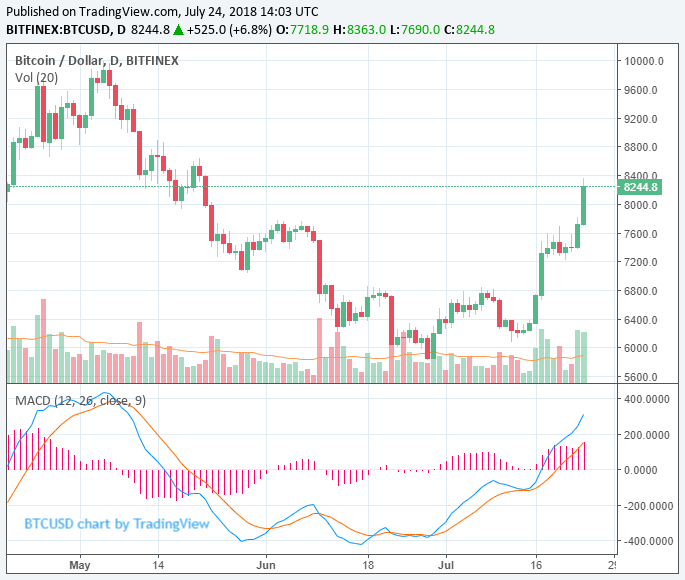 Bitcoin price blitzes to $8,200 but wider crypto markets and tokens suffer Bitcoin price blitzes to $8,200 but wider crypto markets and tokens suffer