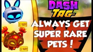 Tricks and cheats to get super rare pets in dash tag ll dash tag aj Tricks and cheats to get super rare pets in dash tag ll dash tag aj