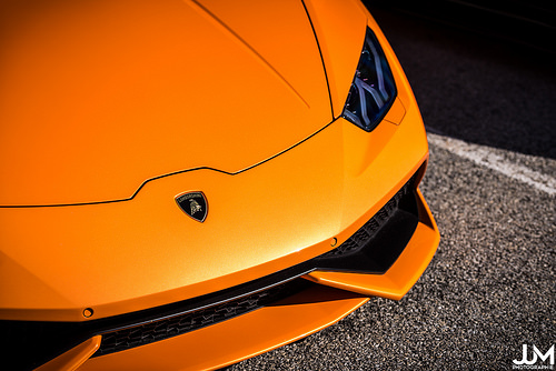 Mad orange bull Tags