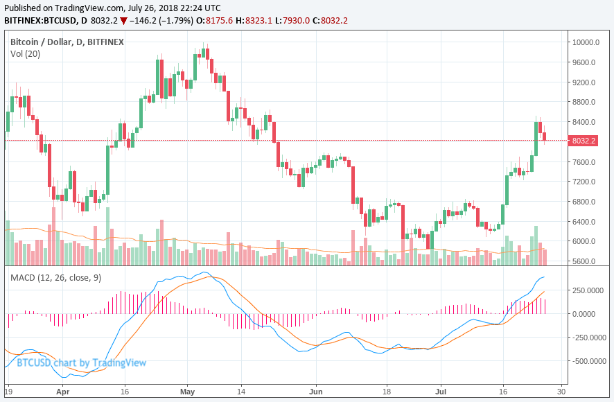 Crypto etf rejection sends bitcoin price below $8,000 Crypto etf rejection sends bitcoin price below $8,000