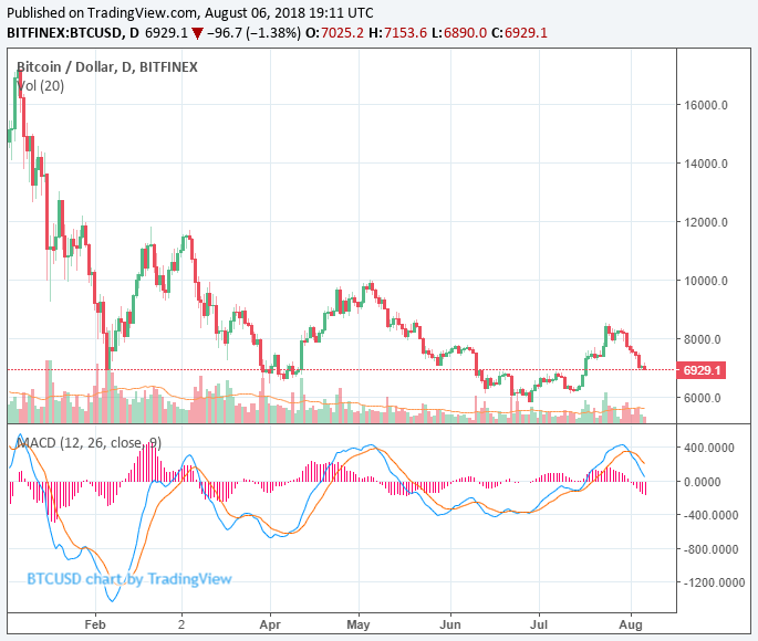 There are now more than 3,500 bitcoin atms worldwide Bitcoin price chart