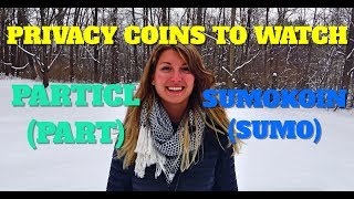 Privacy coins to watch: particl & sumokoin Privacy coins to watch: particl & sumokoin