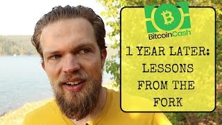 One year of bitcoin cash: the truth will not be stopped One year of bitcoin cash: the truth will not be stopped