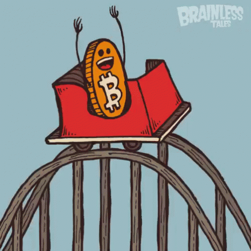 Bitcoin opinion: long live the king Bitcoin opinion: long live the king
