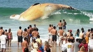 Pessoas incriveis e pura sorte parte n° 2!! Pessoas incriveis e pura sorte parte n° 2!!