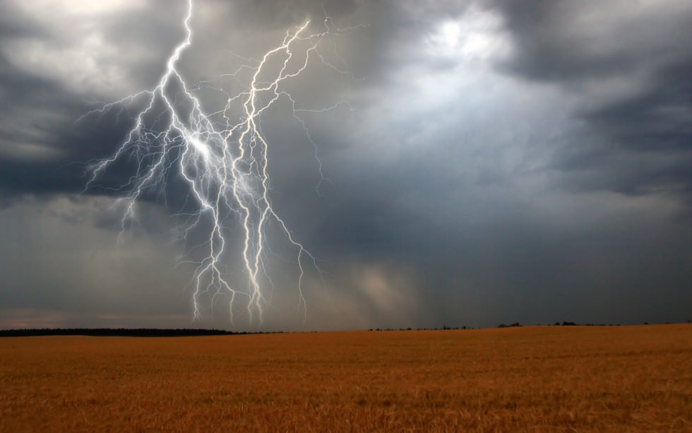 Lightning network passes 3000 nodes, capacity approaches 100 btc Lightning network passes 3000 nodes, capacity approaches 100 btc