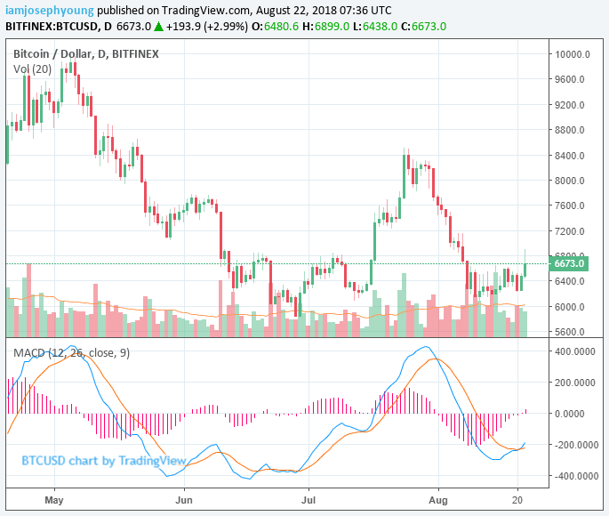 Bitcoin price surges 4% as crypto exchange bitmex initiates maintenance Bitcoin price surges 4% as crypto exchange bitmex initiates maintenance