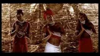 Mauro picotto - komodo Mauro picotto - komodo