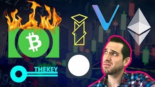 🔥bitmain $bch burn | $int 🚀 | thekey idv platform | vechain mpp | wikileaks vs coinbase | $tky $ven 🔥bitmain $bch burn | $int 🚀 | thekey idv platform | vechain mpp | wikileaks vs coinbase | $tky $ven
