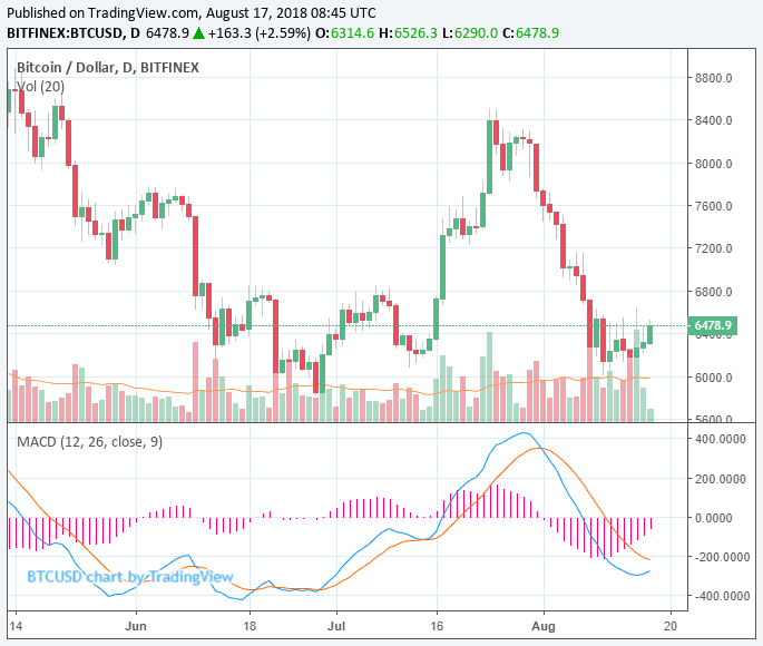 Tokens record 50% gains as crypto market recovers, bitcoin price stabilizes Tokens record 50% gains as crypto market recovers, bitcoin price stabilizes
