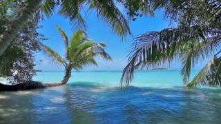 🎧 ocean waves on tropical island (maldives) ambience sound, paradise beach sounds for relaxation 🎧 ocean waves on tropical island (maldives) ambience sound, paradise beach sounds for relaxation