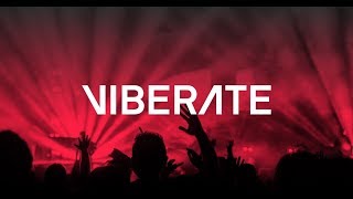 Viberate - decentralized marketplace for the music industry Viberate - decentralized marketplace for the music industry