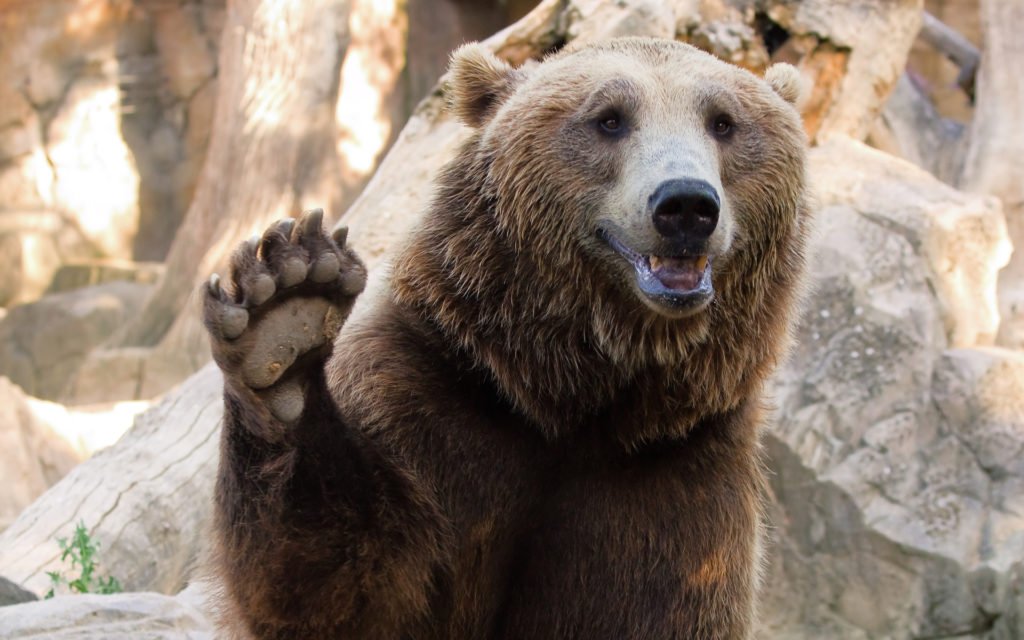 Bears battle bulls at $7000: where will bitcoin price go from here? Bears battle bulls at $7000: where will bitcoin price go from here?