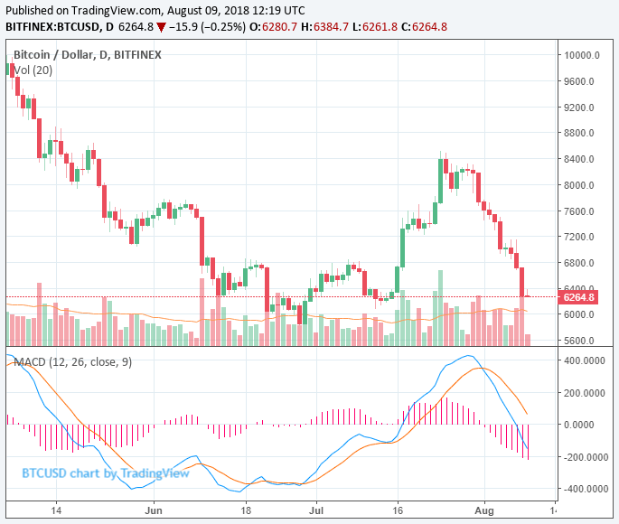 Stop ‘overreacting’, crypto hedge fund vet tells bitcoin investors Bitcoin price