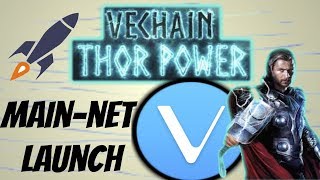 Vechain thor mainnet launch (what should you know) Vechain thor mainnet launch (what should you know)