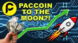 Should you buy paccoin? - will pac moon shot? - how high will paccoin go? - pac cryptocurrency news Should you buy paccoin? - will pac moon shot? - how high will paccoin go? - pac cryptocurrency news