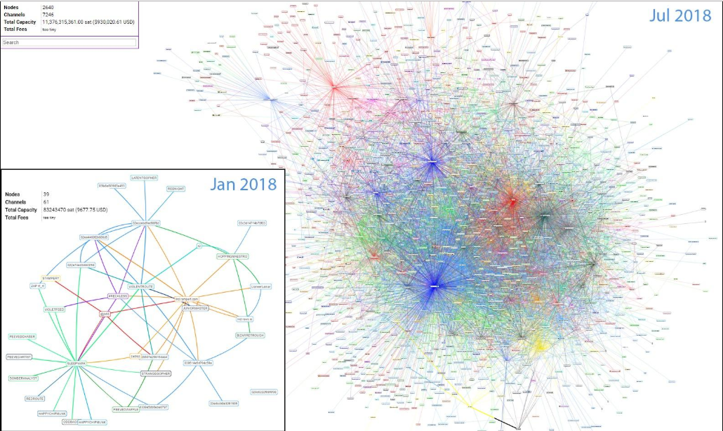 Bitcoin opinion: long live the king Bitcoin opinion: long live the king