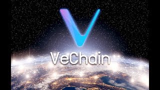 Vechain updates! Te-food's responds to ninja concerns Vechain updates! Te-food's responds to ninja concerns