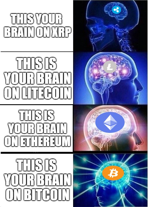 This your brain on #xrp. This is your brain on #litecoin. This is your brain on #ethereum. This is your brain on #bitcoin. This your brain on xrp. This is your brain on litecoin. This is your brain on ethereum. This is your brain on bitcoin.