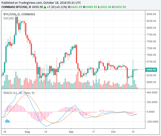 Bitcoin has hit the bottom: why it is unlikely to fall below $6,000 Bitcoin has hit the bottom: why it is unlikely to fall below $6,000