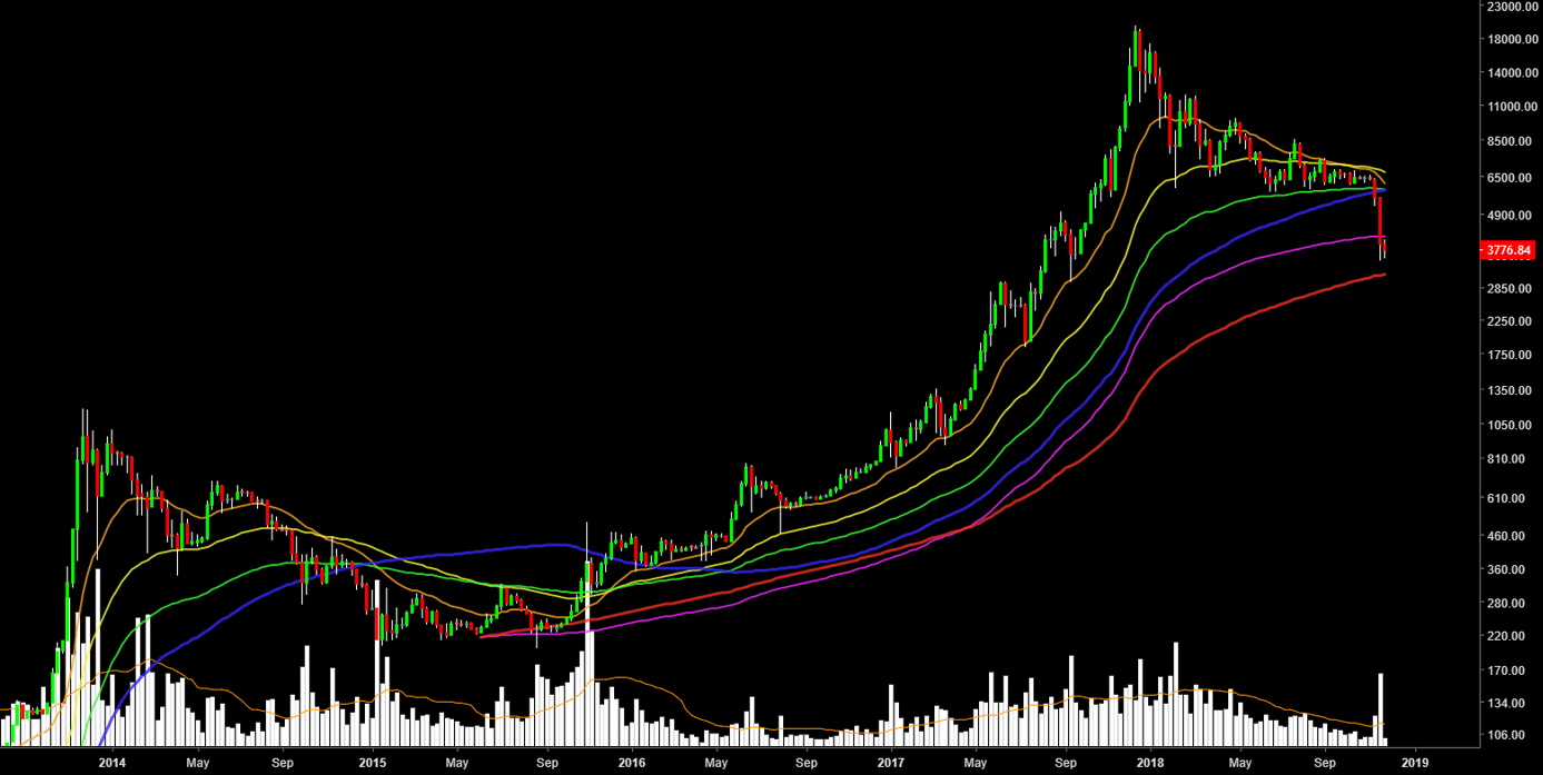 Has bitcoin really bottomed out?? Or more blood is still left Has bitcoin really bottomed out?? Or more blood is still left