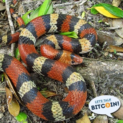 Let's talk bitcoin! #380 ubercoin or openuber? Let's talk bitcoin! #380 ubercoin or openuber?