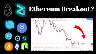 Here's why ethereum could pump 65% while bitcoin cash dumps 65%, crypto news Here's why ethereum could pump 65% while bitcoin cash dumps 65%, crypto news