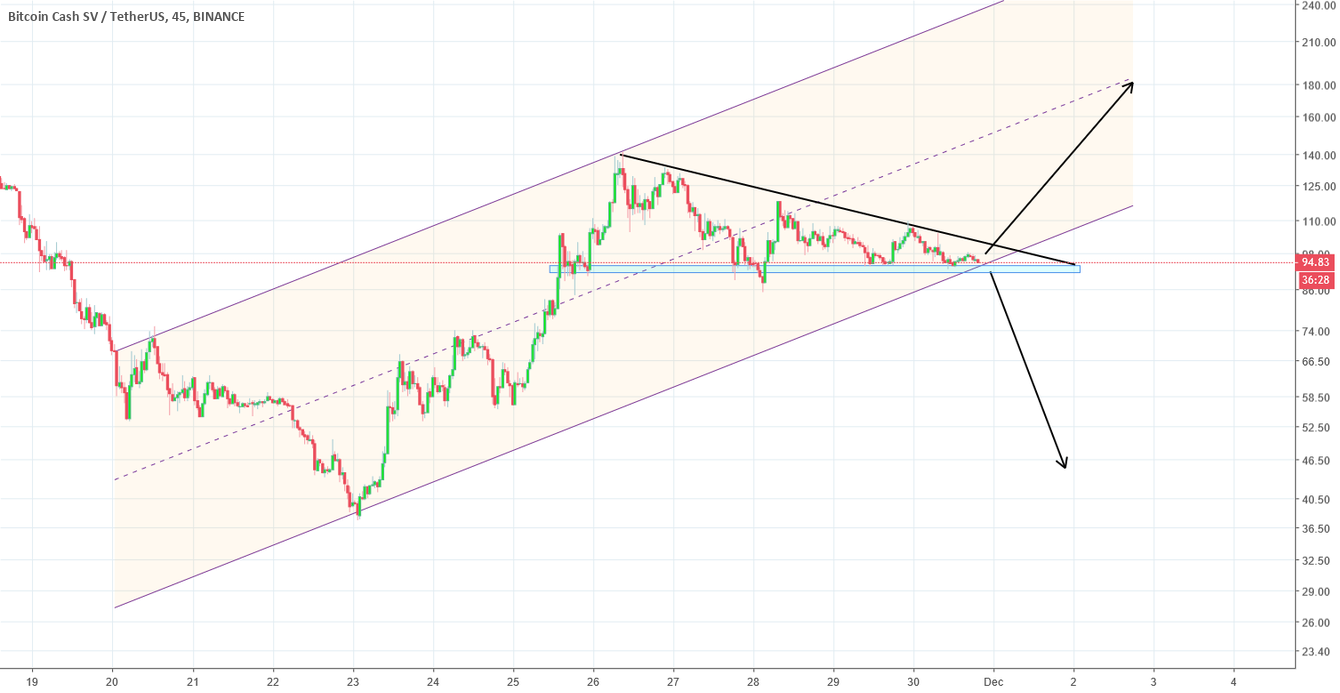 Bitcoin sv double or bubble? Bitcoin sv double or bubble?