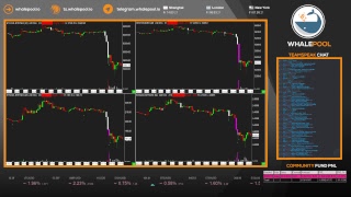 Whalepool live bitcoin / cryptocurrency trading stream 24/7/365 Whalepool live bitcoin / cryptocurrency trading stream 24/7/365