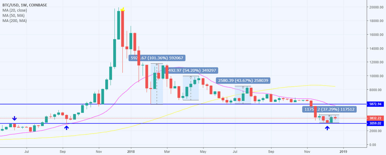 Bitcoin will fall again: $3100 target. Bitcoin will fall again: $3100 target.
