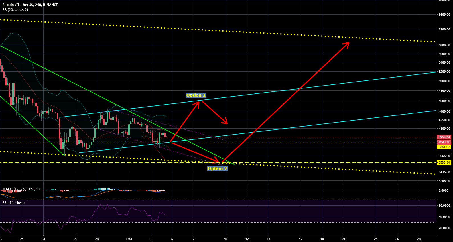 Two possible options for bitcoin Two possible options for bitcoin
