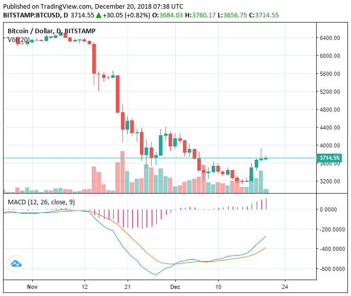 Crypto market adds $29 billion this week, can momentum be sustained? Crypto market adds $29 billion this week, can momentum be sustained