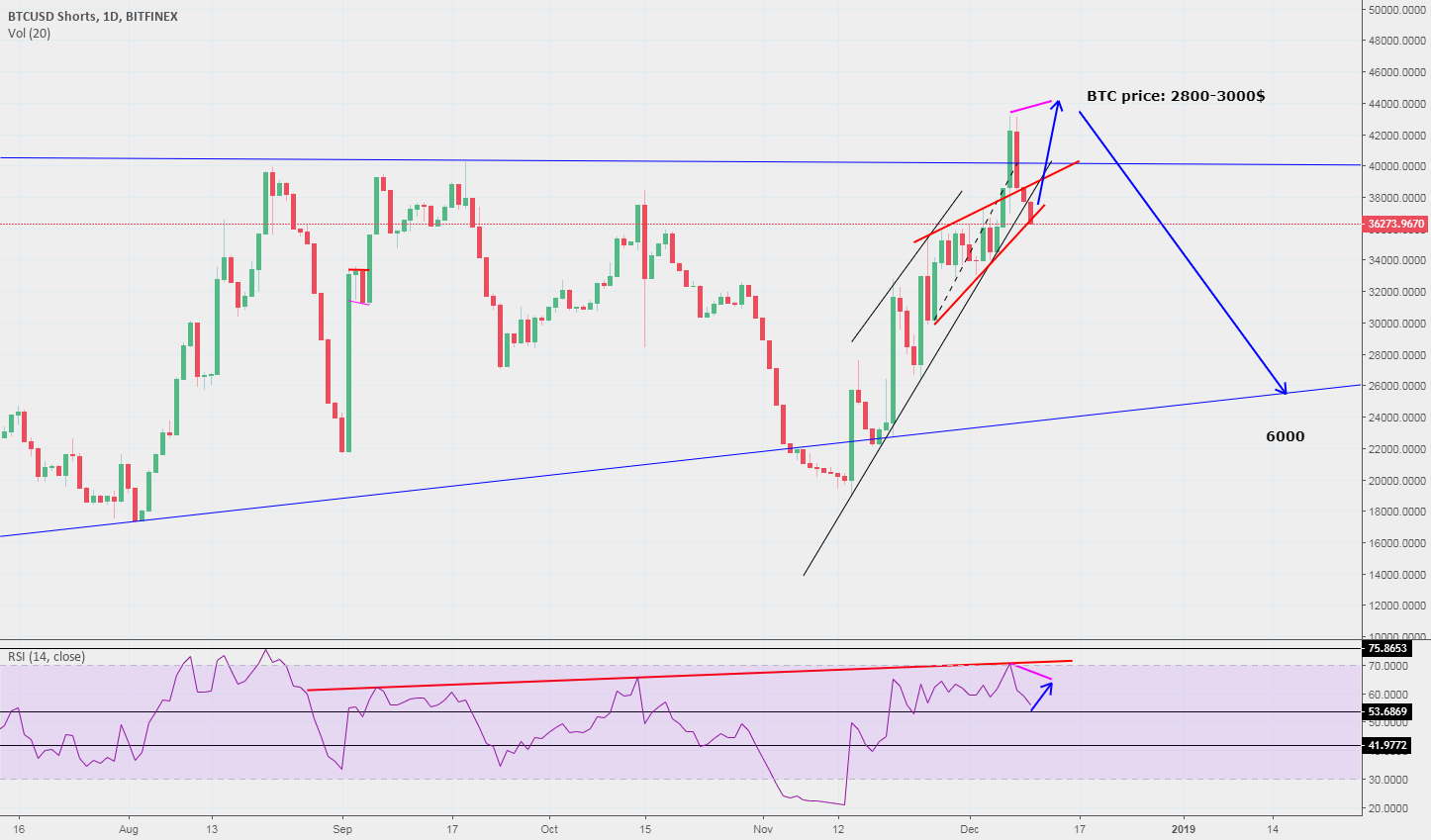 Shorts wil be max for bitcoin and there is bottom Shorts wil be max for bitcoin and there is bottom