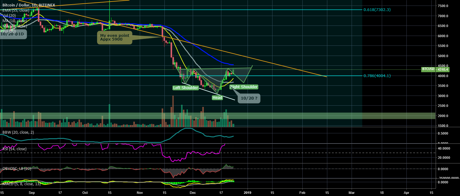 Bitcoin dollar 1d bitfinex Bitcoin dollar 1d bitfinex