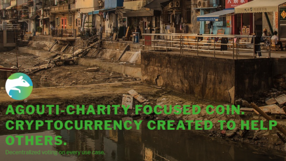 Agouti – first decentralized blockchain charity Agouti – first decentralized blockchain charity