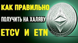 Etcv hard fork ethereum (eth) | как получить etcv и etn бесплатно и безопасно! Etcv hard fork ethereum (eth) | как получить etcv и etn бесплатно и безопасно!