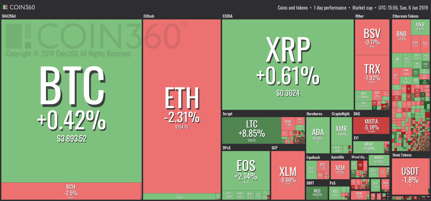 Market visualization from coin360 Market visualization from coin360