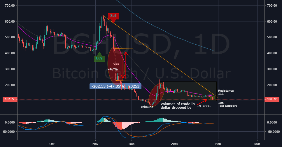 Bitcoin cash intraday Bitcoin cash intraday