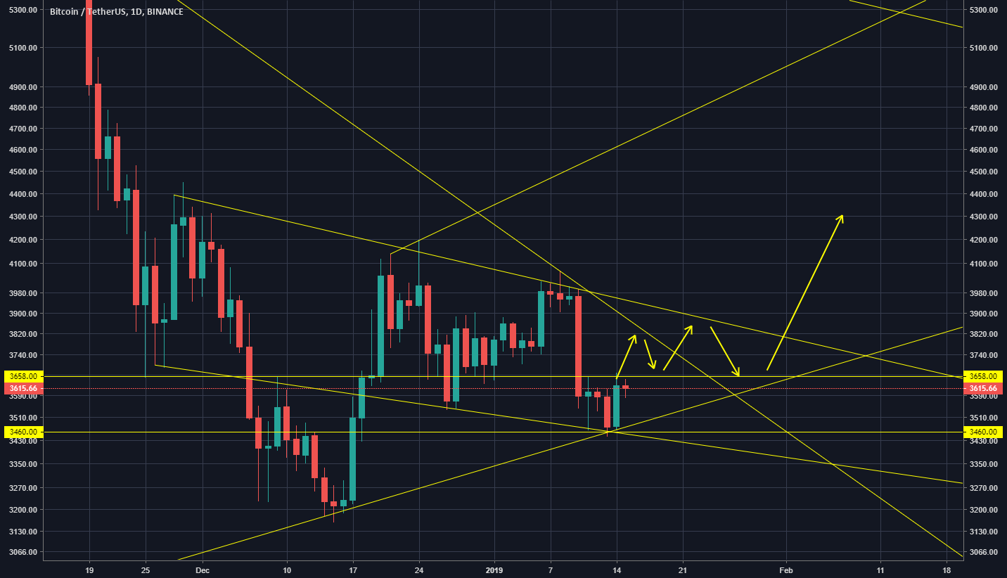 Bitcoin long short Bitcoin long short