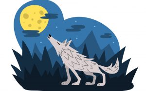 The daily: bitpay adds multi-crypto settlements, shapeshift downsizes The daily: bitpay adds multi-crypto settlements, shapeshift downsizes