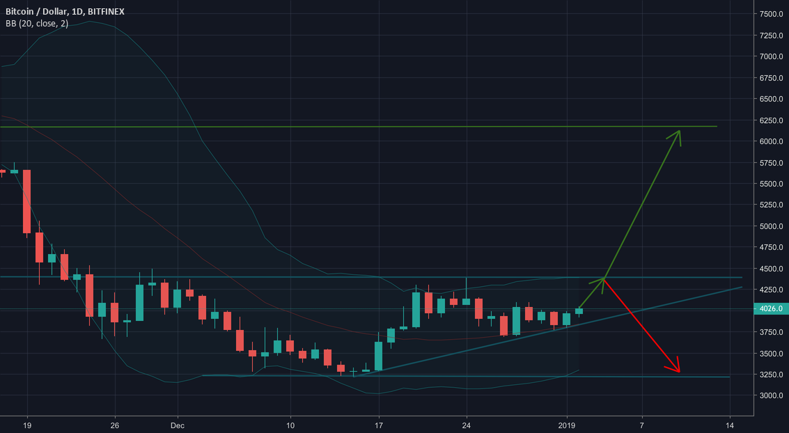 Bitcoin strong bearish contrarian trading bias Bitcoin strong bearish contrarian trading bias