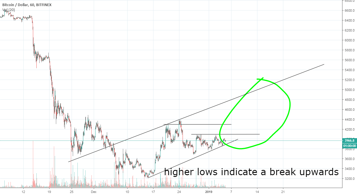 Bitcoin up in febuary Bitcoin up in febuary