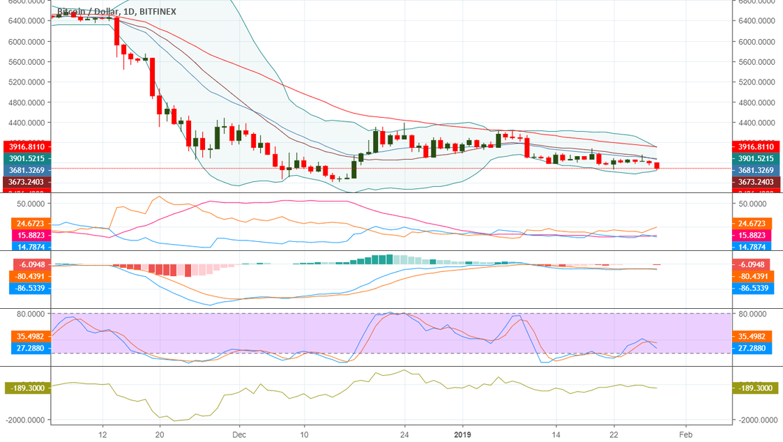 A big step for ₿itcoin, a huge step for mass adoption A big step for ₿itcoin, a huge step for mass adoption